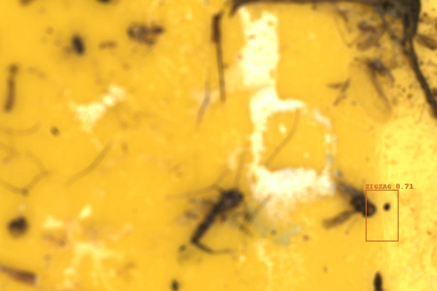 Image 21